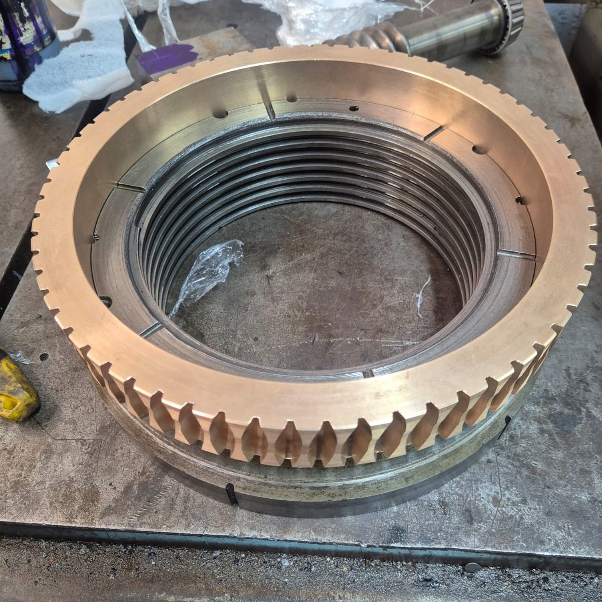 Corona de bronce para tornillo sinfín